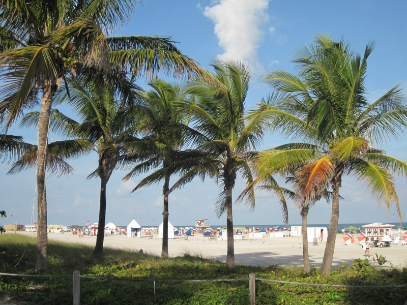 BIENVENUE À MIAMI